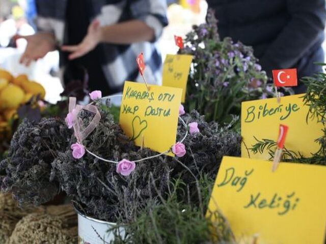 Alaçatı Ot Festivali Turu / Günübirlik