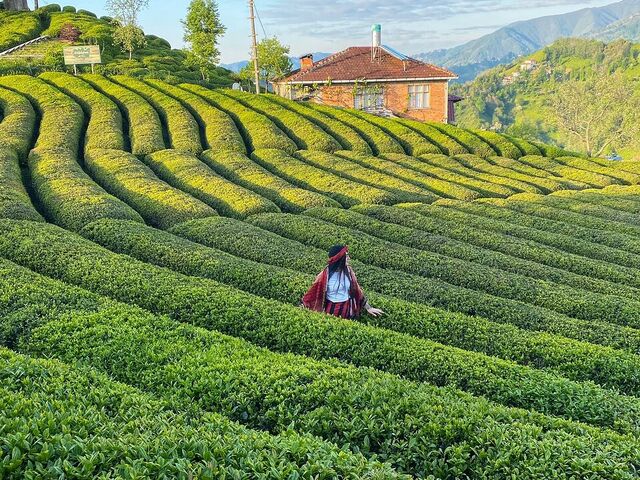 19 Mayıs'a Özel ! Doğu Karadeniz Turu ( 3 Gece Otel Konaklamalı )