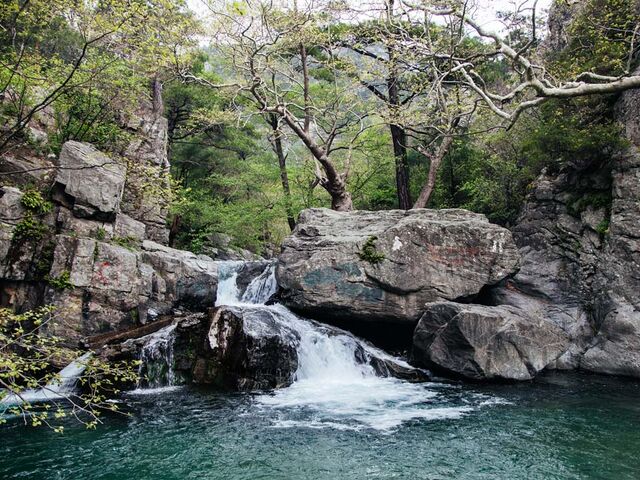 Ayvalık Cunda Sarımsaklı Plajı ve Kazdağları AssosTuru ( 1 Gece Konaklamalı )